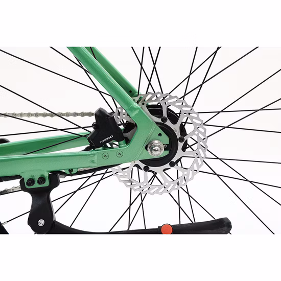 전기 자전거 통근 자전거 스포츠 자전거 도시 자전거 Ebike를 통한 경량 단계