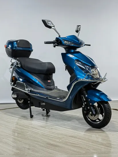뜨거운 판매 맞춤형 서비스 미니 접이식 전기 자전거 E 자전거 Ebike 전기 자전거 지방 자전거 사출 성형 사이클 오토바이 48V 350W 및 ODM/OEM 공장
