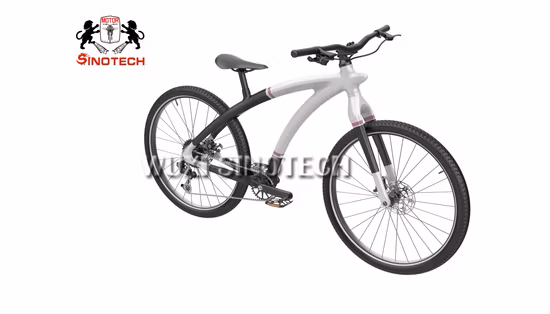 탄소 섬유 12단 도로 자전거 자갈 자전거 경주 자전거 Bicicleta 성인